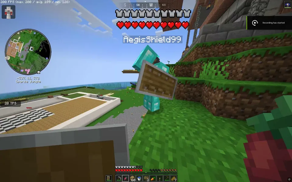 Minecraft, a frame from my own gameplay recording